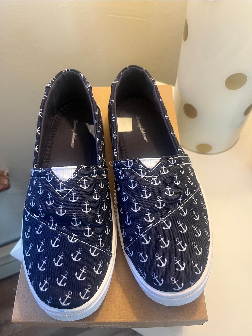 Navy Anchor Slip-On Canvas Shoes